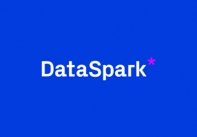 Dataspark Gmbh & Co. KG
